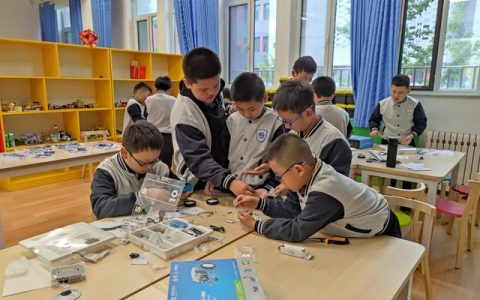 小学数学教师自培计划（教师自培计划主题）