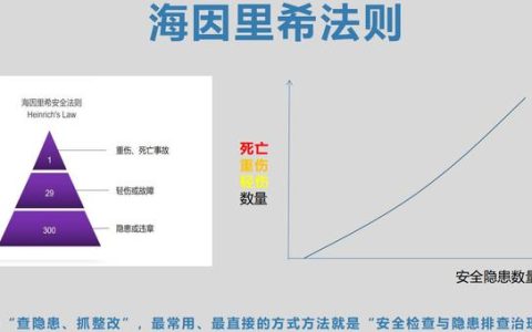 资金排查报告怎么写（保险公司风险排查报告怎么写）