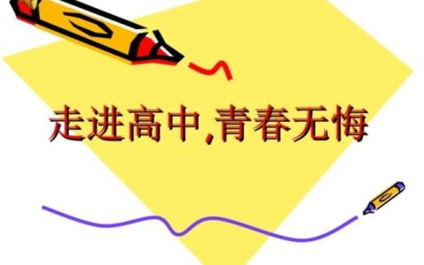 高中学期总结500字怎么写（高中生学期总结500字）