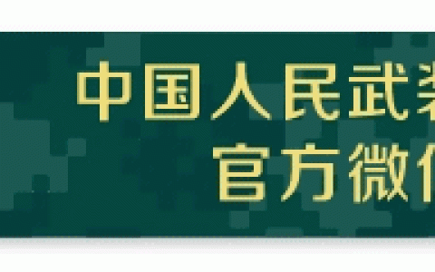 入党的原因100字（入党的原因和动机）