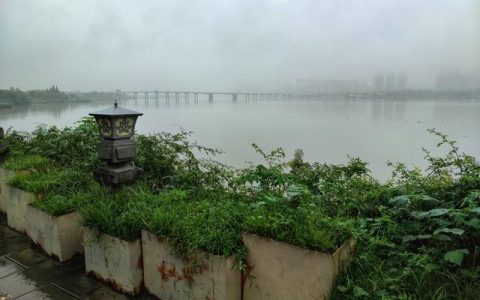 雨的随想汪国真原文感谢，雨的随想汪国真原文图片