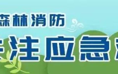 消防工作总结及下步工作计划，消防工作总结及下步工作计划怎么写！