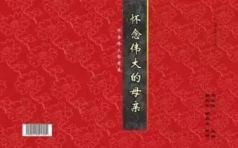 伟大的母亲作文600字初中，伟大的母亲作文600字作文！