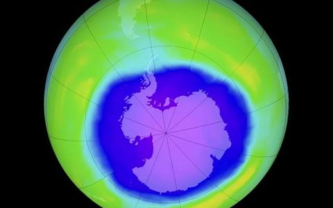 保护地球的作文500字左右，保护地球的作文500字左右三年级