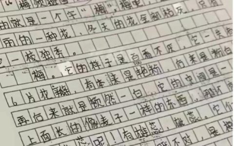 小学作文题目大全文库，小学作文题目大全100个